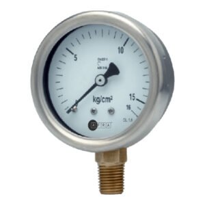 SS Case Brass Pressure Gauge